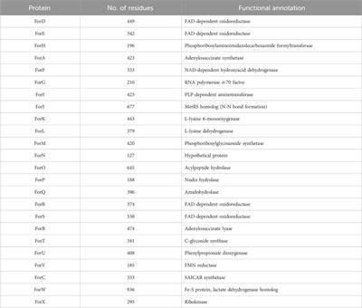The chemistry of Formycin biosynthesis